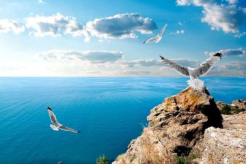 Из Горловки в Крым на автобусе