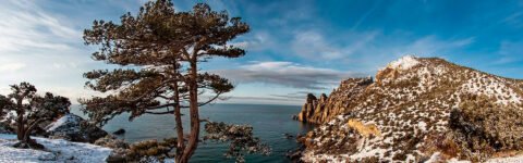 НОВЫЙ МАРШРУТ ИЗ ГОРЛОВКИ И ДОНЕЦКА ДО ОРДЖОНИКИДЗЕ, КОКТЕБЕЛЯ, СУДАКА, НОВОГО СВЕТА!  КОМФОРТАБЕЛЬНЫЕ МИКРОАВТОБУСЫ НА 9 МЕСТ: WI-FI, КОНДИЦИОНЕР Звоните!